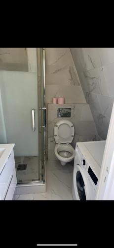 une salle de bain blanche avec toilettes et douche dans l'établissement Magnifique appartement, à Paris