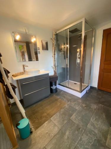 La salle de bains est pourvue d'une douche et d'un lavabo. dans l'établissement Gîte Croc Blanc, à Sondernach