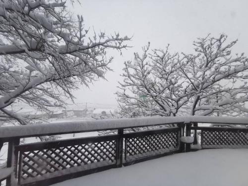 two trees covered in snow next to a fence at Sapporo Luxury Log House 5Brm max 18ppl 4 free parking in Sapporo