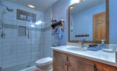 ein Bad mit einem Waschbecken, einem WC und einer Dusche in der Unterkunft American Dream Americana decor close to downtown Blue Ridge in Blue Ridge
