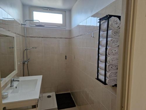 een badkamer met een wastafel en een douche met een raam bij Maison jumelée clôturée in Linguizzetta