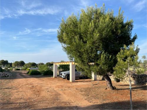 a car parked under a tree next to a tree at Abate Filippo apartment in Nardò