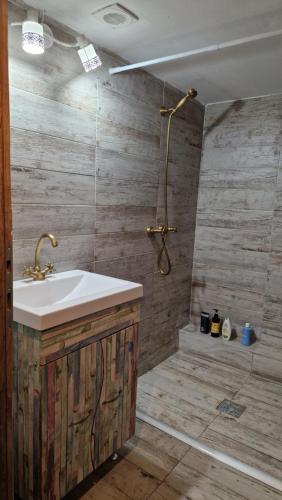 ein Bad mit einem Waschbecken und einer Dusche in der Unterkunft La sălaşul fermecat în Cheile Carasului in Iabalcea