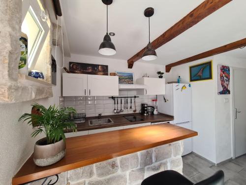 Adorable studio Palika