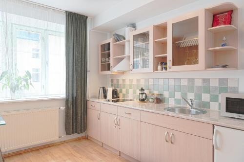 een keuken met een wastafel en een raam bij Wilde Guest Apartments Ülikooli 6 in Tartu