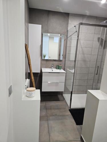 a bathroom with a sink and a shower at Studio meublé - Comme à la maison in Belfort