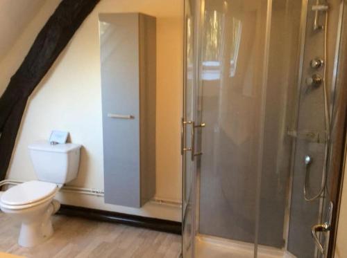 a bathroom with a toilet and a glass shower at Les Roses, avec piscine, tennis et lac privatif in Guerquesalles