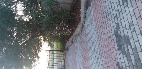 a building with a plant with pink flowers on it at Boje 34 in Osteel