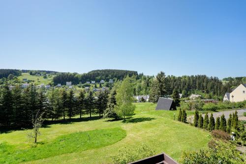 a green field with trees and a town in the background at Pension Bergblick in Marienberg