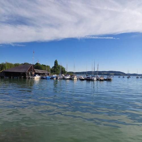 a group of boats docked in a large body of water at Ferienparadies Haus Monica in Palting