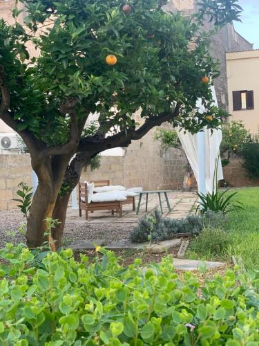 an orange tree in a garden with a bench at Corte Mercurio B&B in Ugento