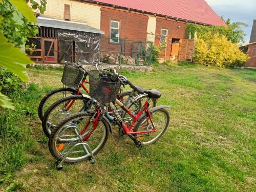 two bikes parked in the grass in front of a house at Malinowy Gaj z kucykiem - Mazury in Świętajno