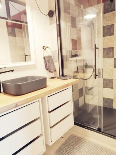 une salle de bain avec un lavabo et une douche dans l'établissement R'Apparts T2 Cosy et Vintage, à Grenoble