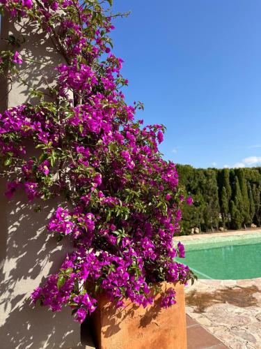 Villa Loma Cris y Javi