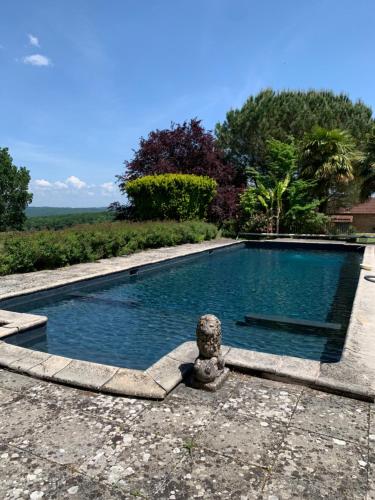 uma piscina no meio de um quintal em "Castel" em Saint-Amand-de-Coly
