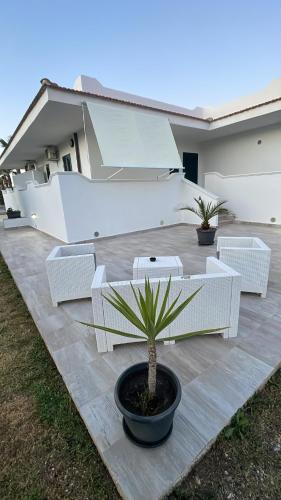 a patio with white chairs and a potted plant at Villa Angela case vacanza in Vieste