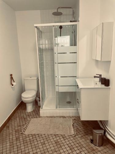 une salle de bain avec une douche, des toilettes et un lavabo dans l'établissement Studio cosy, à Étaples