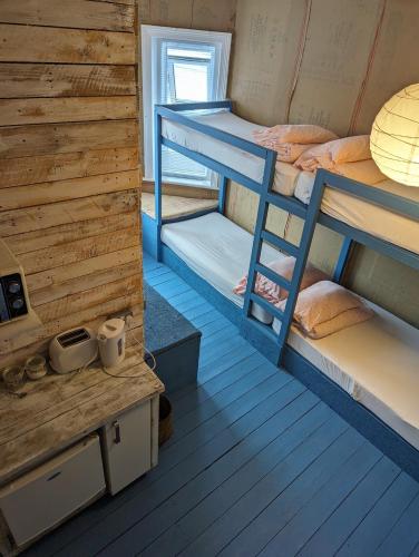 Pokój z 2 łóżkami piętrowymi w kabinie w obiekcie Bunkhouse Bournemouth w Bournemouth