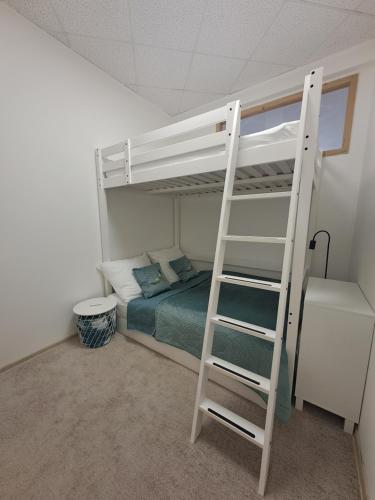 Katil atau katil-katil dalam bilik di Apartmány Štěpánkova 85