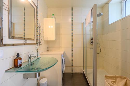 une salle de bain avec un lavabo et une douche dans l'établissement La Terrasse du Mené - Appt dans le centre ville, à Vannes