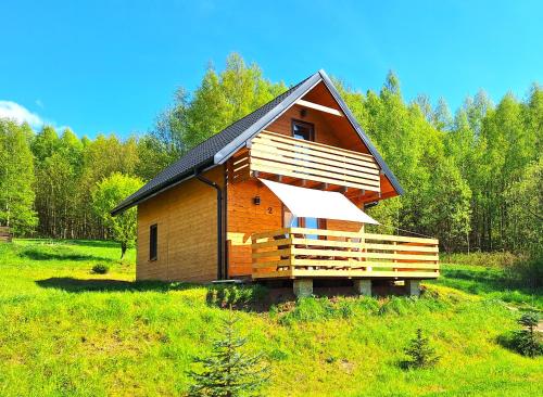 mały drewniany domek na polu trawy w obiekcie Domki w Bartnicy - Góry Sowie w mieście Ludwikowice Kłodzkie