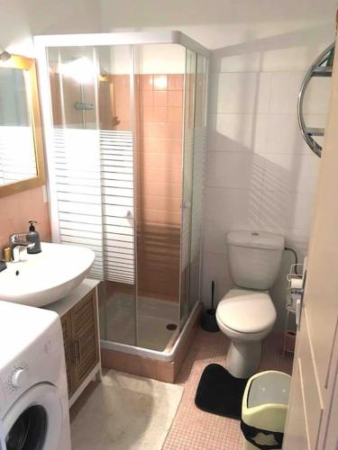 une salle de bain avec une douche, des toilettes et un lavabo dans l'établissement Studio BAOBAB, à Chambéry