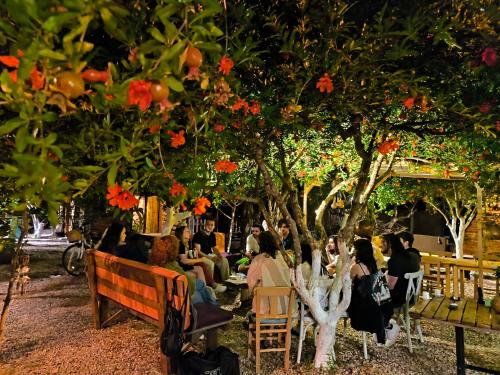 um grupo de pessoas sentadas debaixo de uma árvore em Litost Cafe Bungalow em Adrasan
