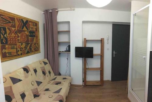 Una sala de estar con un sofá y un televisor. en Studio BATIK, en Chambéry