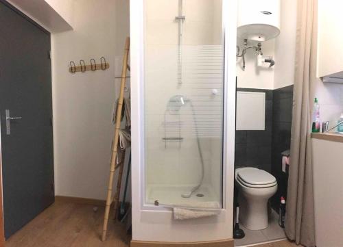 Un baño con inodoro y ducha de cristal. en Studio BATIK, en Chambéry