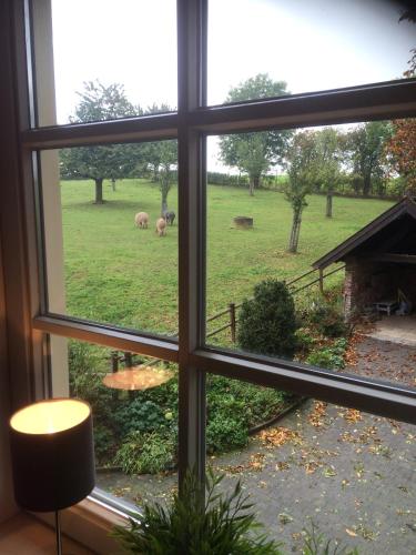 a window looking out at a field of sheep at Countryhouse Zuid-Limburg in Nuth