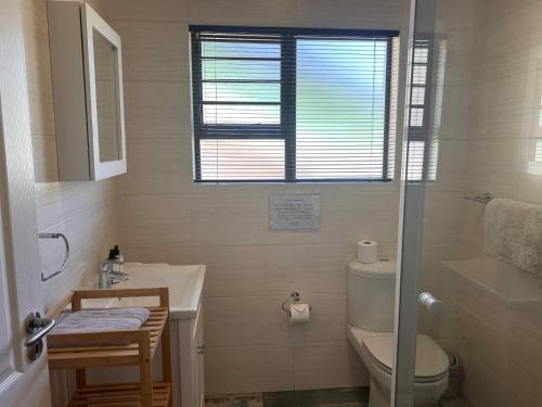 baño con lavabo y aseo y ventana en Clarens The Paddocks 21, en Clarens