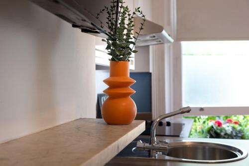 an orange vase sitting on a kitchen counter with a plant at Brunswick - Brighton Regency Studio by the sea in Brighton & Hove