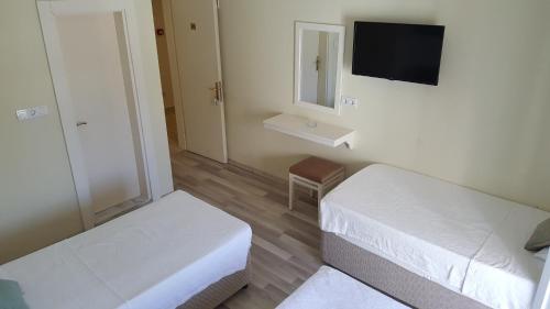 Телевизор и/или развлекательный центр в Artemis Hotel