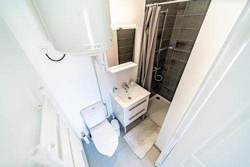 a small bathroom with a toilet and a sink at Le Petit Clément - Charmant et Cosy in Villeurbanne