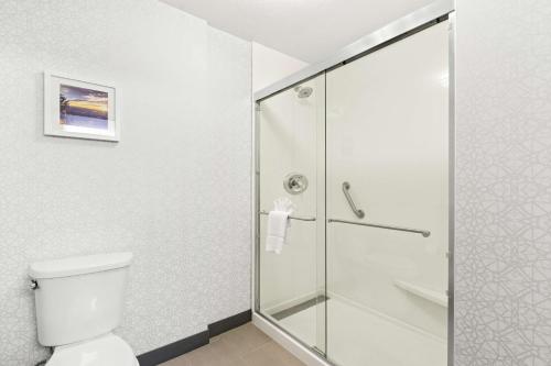 a bathroom with a shower and a toilet at Hampton Inn & Suites Phoenix-Goodyear in Goodyear