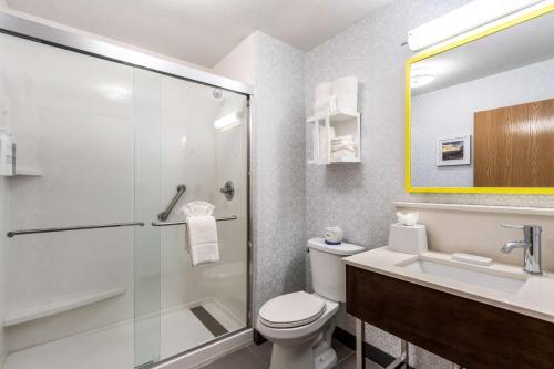 a bathroom with a shower and a toilet and a sink at Hampton Inn & Suites Phoenix-Goodyear in Goodyear