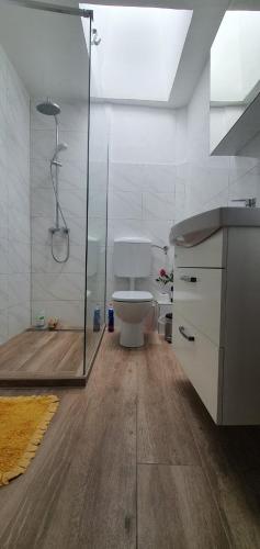 a bathroom with a shower and a toilet in it at Mila in Olib