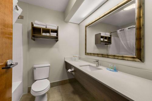 uma casa de banho com um lavatório, um espelho e um WC. em Quality Inn & Suites Matthews em Matthews