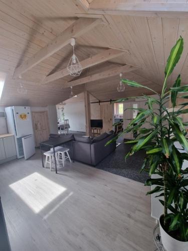 Apartament 3-cie piętro