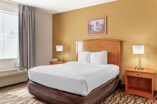 a hotel room with a large bed and a window at Comfort Inn & Suites Chesapeake - Portsmouth in Chesapeake