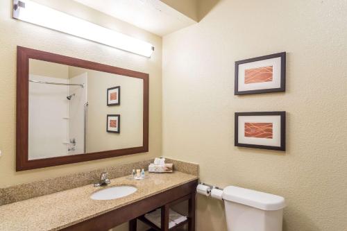 a bathroom with a sink and a mirror and a toilet at Comfort Suites Eufaula North in Eufaula