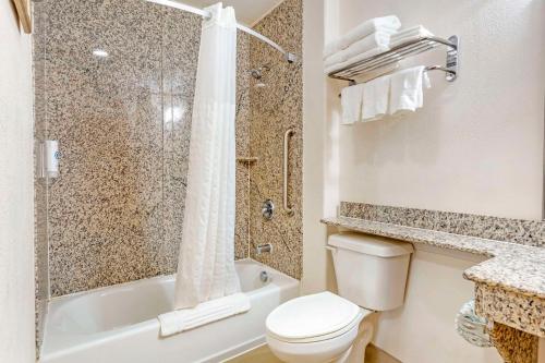 y baño con aseo, ducha y lavamanos. en Comfort Inn & Suites Chesapeake - Portsmouth, en Chesapeake