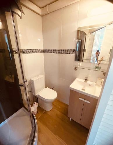 une salle de bain avec toilettes, lavabo et miroir dans l'établissement Joli studio proche des remparts, à Boulogne-sur-Mer