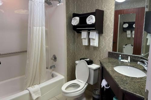 a bathroom with a toilet and a sink and a shower at Quality Inn - Norman near University in Norman