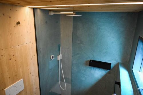 a bathroom with a shower with a blue wall at Tiny House Pioneer 1 - Salemer See in Salem