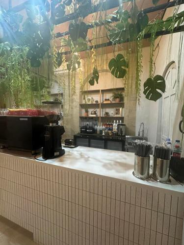a kitchen with a counter with plants on the wall at Avioré Hotel Tacloban in Tacloban
