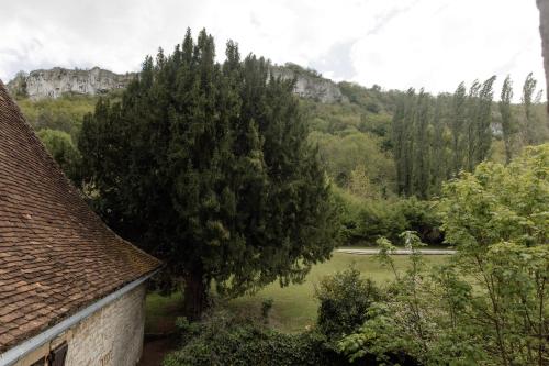 a tree in the middle of a field next to a house at Manoir de Laroque Delprat in Autoire