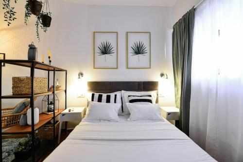 Apartments Toma
