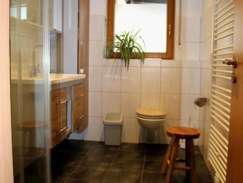 baño con aseo y lavabo y ventana en Ferienwohnung Lydia, en Zell am Harmersbach