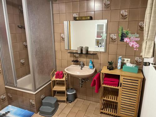 y baño pequeño con lavabo y ducha. en Haus Sommerberg en Titisee-Neustadt